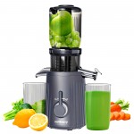 Celiberry Slow Masticating Cold Press Juicer Machine with 4.1